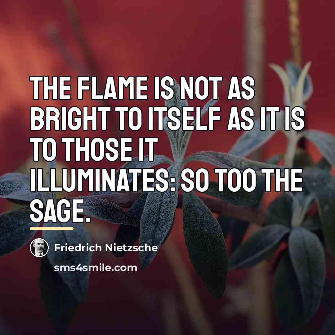 “The flame is not as bright to itself as it…” quote by Friedrich Nietzsche