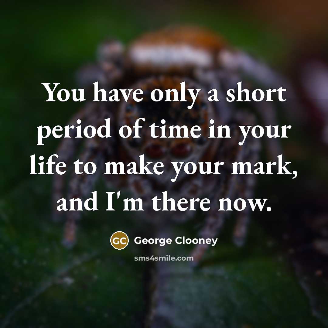 “You have only a short period of time in your…” quote by George Clooney