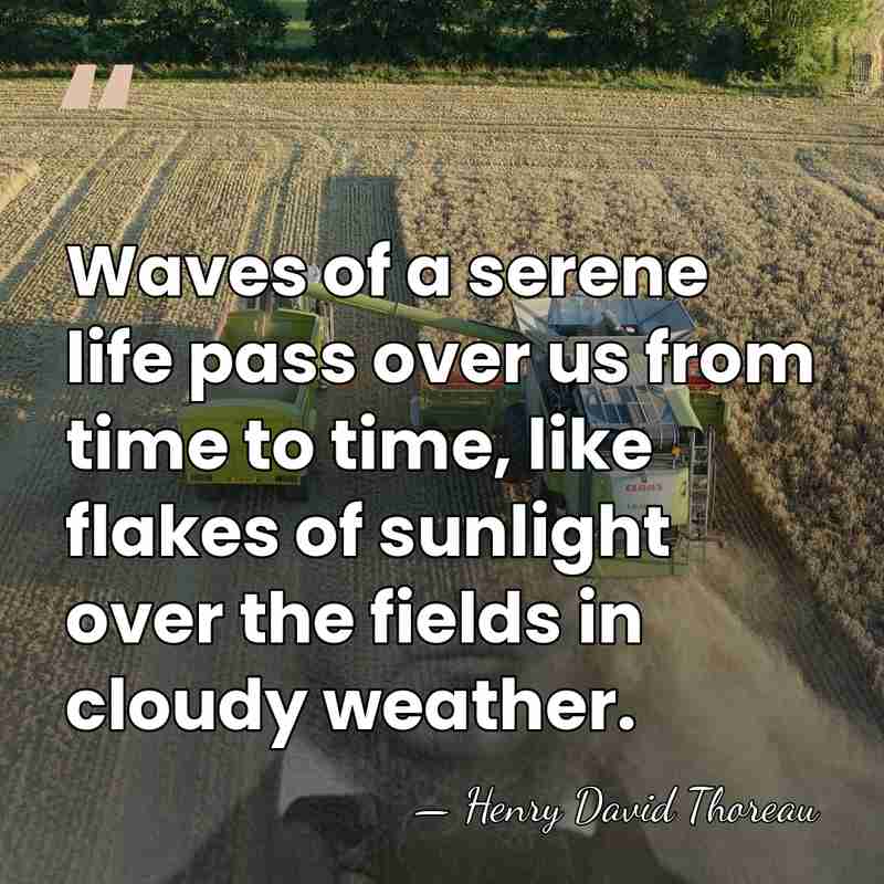 Waves of a serene life pass over us from time to time,&hellip; - Henry David Thoreau