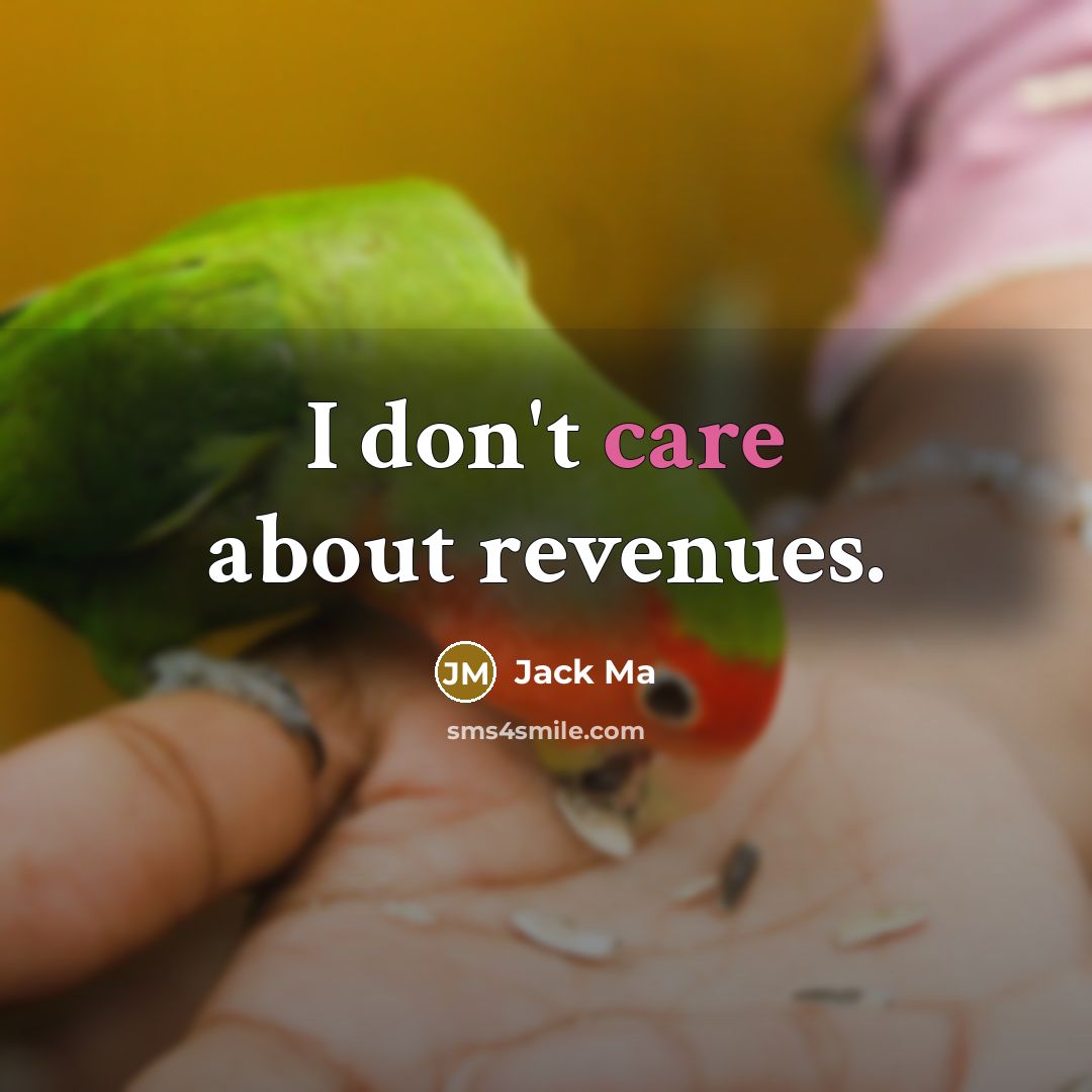 “I don't care about revenues.…” quote by Jack Ma