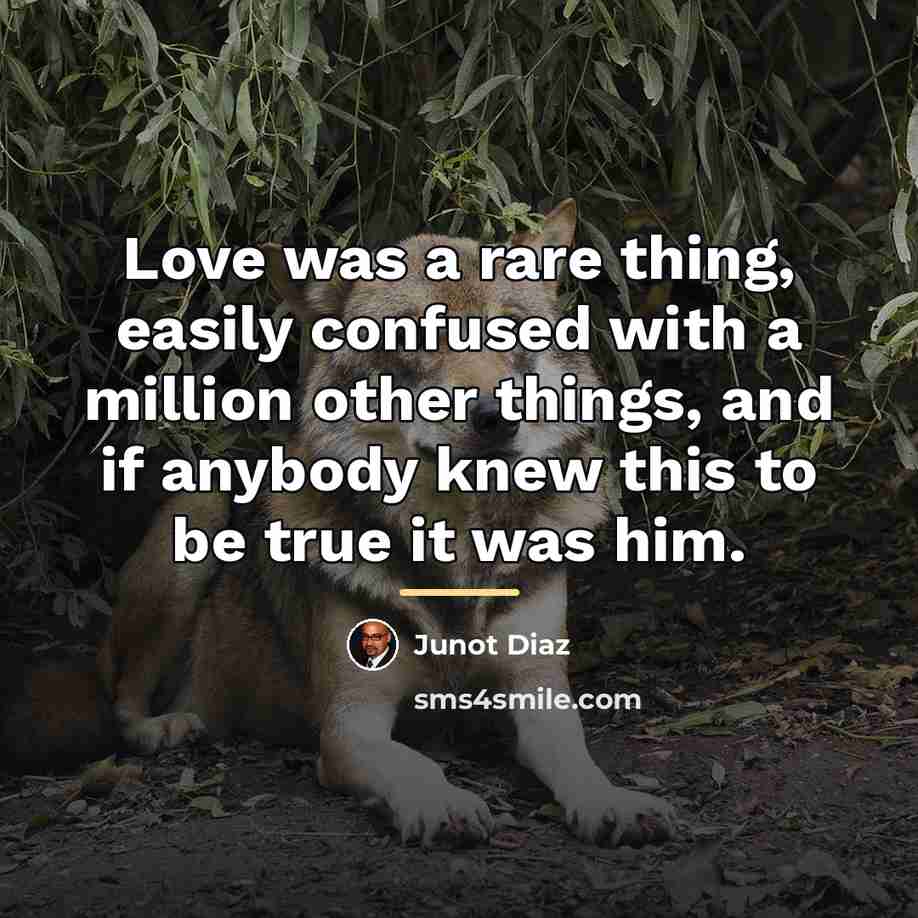 “Love was a rare thing, easily confused with a million…” quote by Junot Diaz