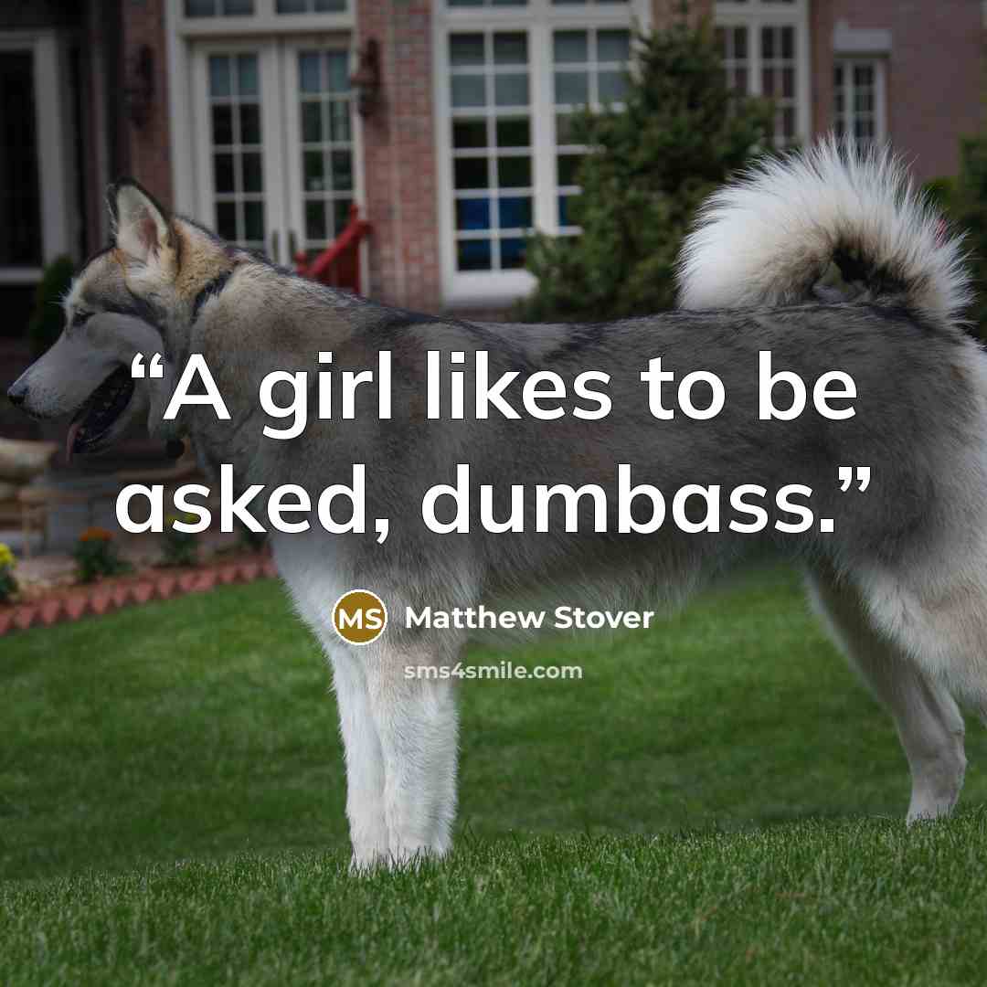 “A girl likes to be asked, dumbass.” quote by Matthew Stover
