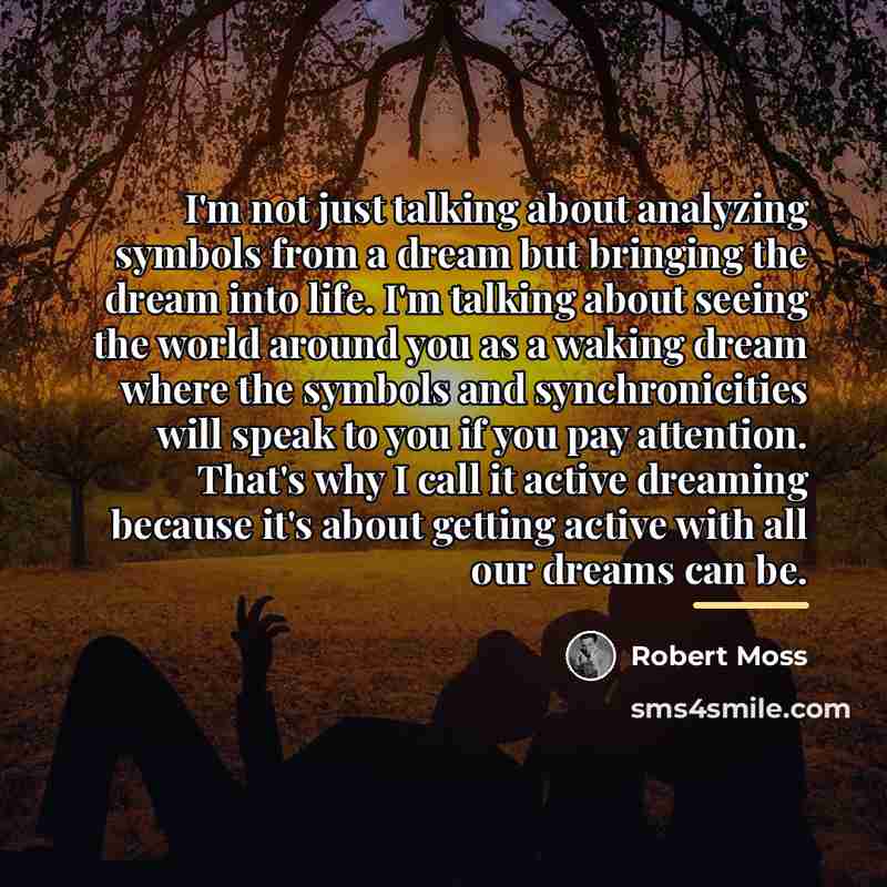 “I'm not just talking about analyzing symbols from a dream…” quote by Robert Moss