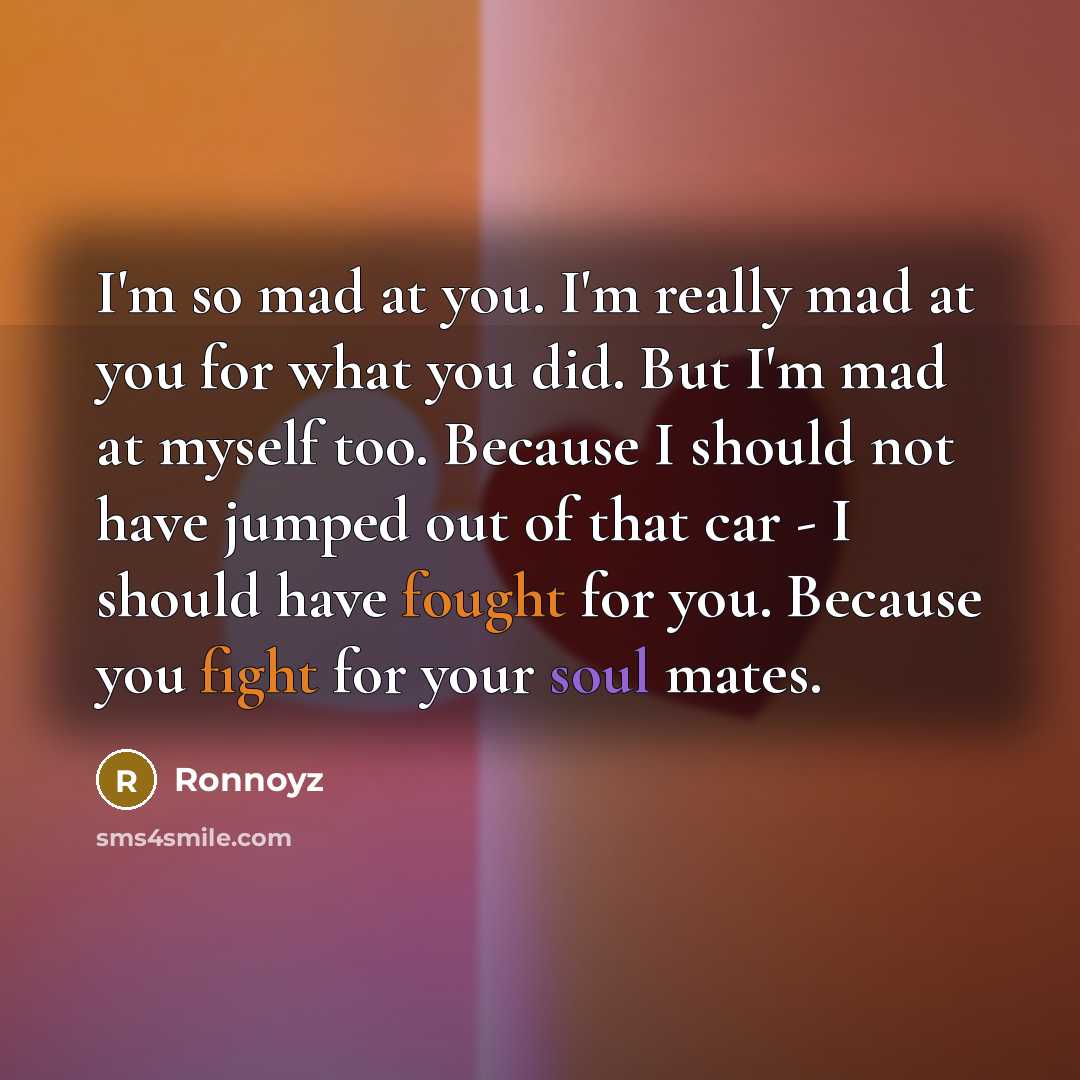 “I'm so mad at you. I'm really mad at you for what you did. But I'm mad at myself too. Because I should not have jumped out of that car - I should have fought for you. Because you fight for your soul mates.” quote by Ronnoyz