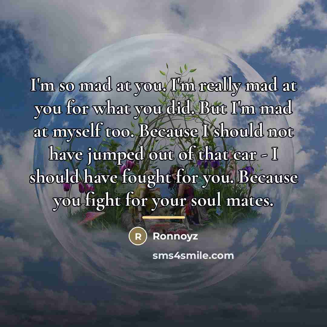 “I'm so mad at you. I'm really mad at you…” quote by Ronnoyz