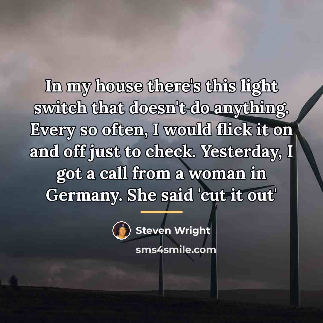 “In my house there's this light switch that doesn't do…” quote by Steven Wright