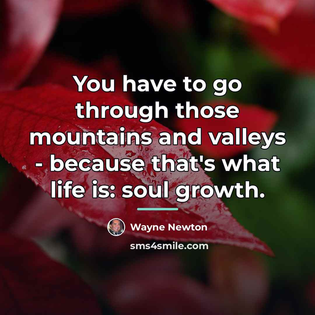 “You have to go through those mountains and valleys -…” quote by Wayne Newton