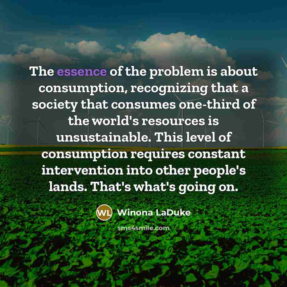 “The essence of the problem is about consumption, recognizing that…” quote by Winona LaDuke