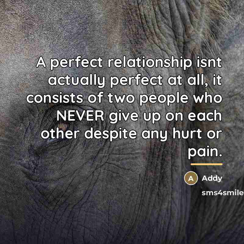“A perfect relationship isnt actually perfect at all, it consists…” quote by Addy