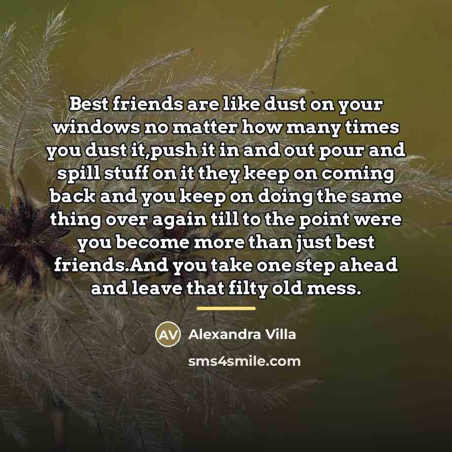“Best friends are like dust on your windows no matter…” quote by Alexandra Villa