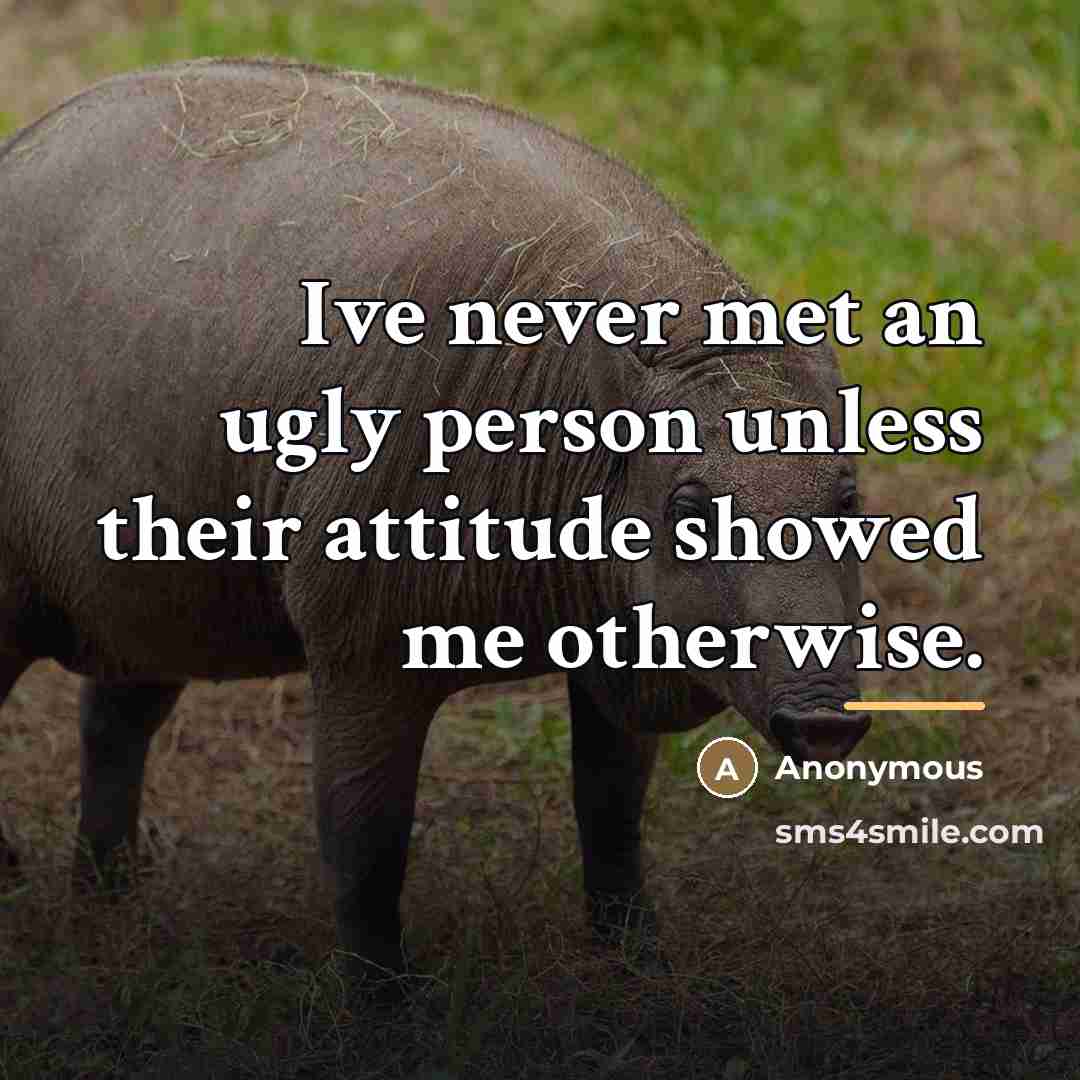 “Ive never met an ugly person unless their attitude showed…” quote by Anonymous