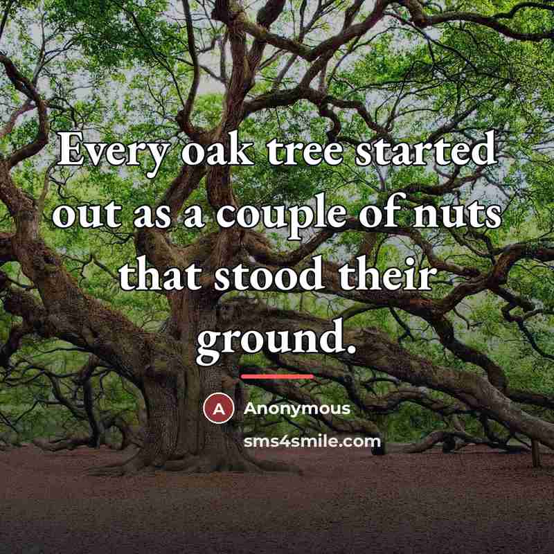 “Every oak tree started out as a couple of nuts…” quote by Anonymous