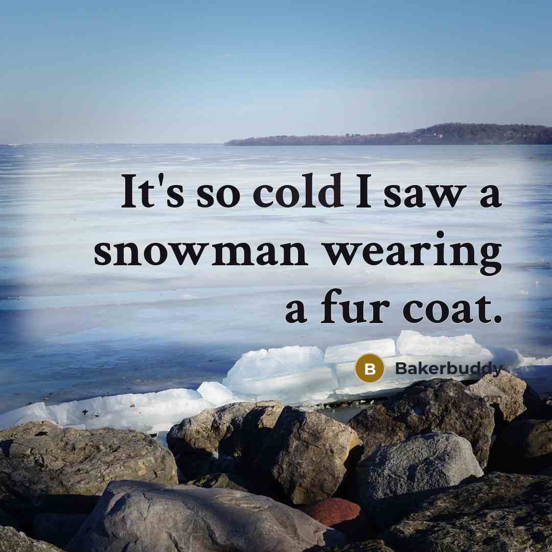 “It's so cold I saw a snowman wearing a fur…” quote by Bakerbuddy