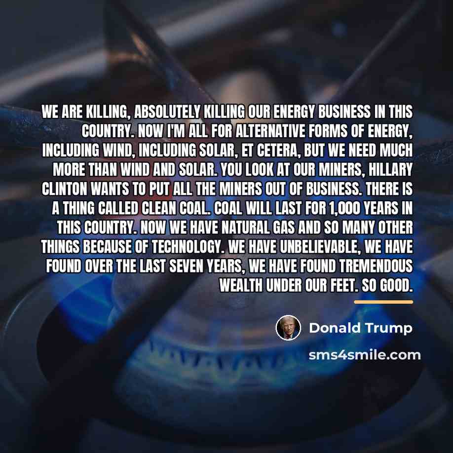 “We are killing, absolutely killing our energy business in this…” quote by Donald Trump