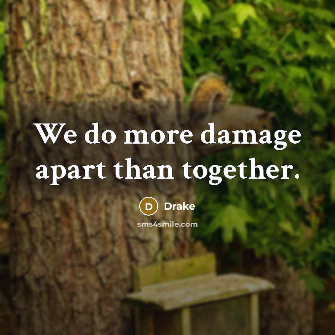 “We do more damage apart than together.…” quote by Drake