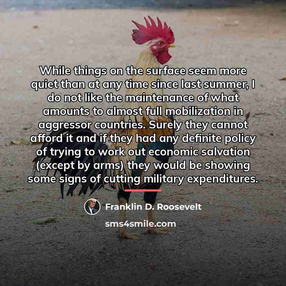 “While things on the surface seem more quiet than at…” quote by Franklin D. Roosevelt