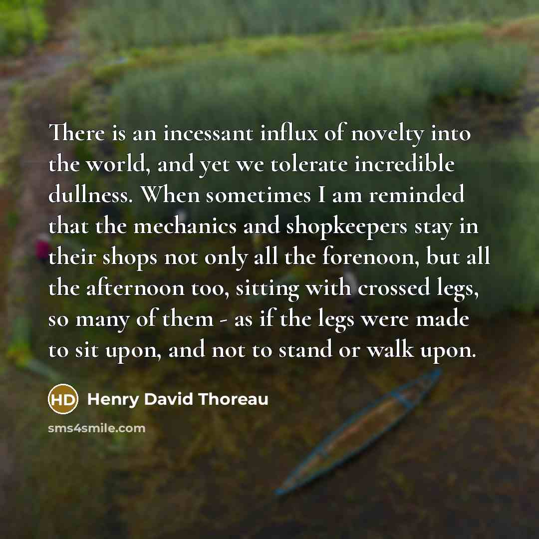 “There is an incessant influx of novelty into the world,…” quote by Henry David Thoreau