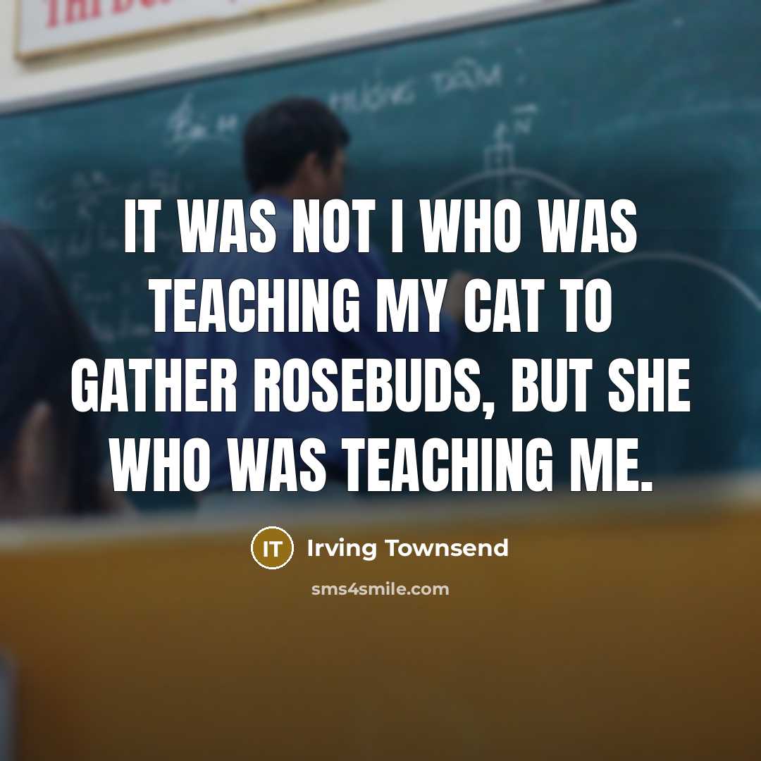 “It was not I who was teaching my cat to…” quote by Irving Townsend