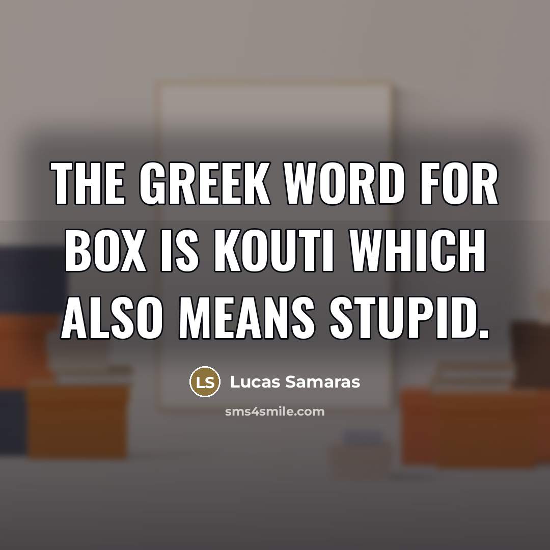 “The Greek word for box is kouti which also means…” quote by Lucas Samaras