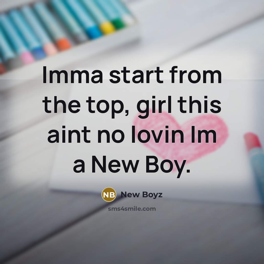 “Imma start from the top, girl this aint no lovin Im a New Boy.” quote by New Boyz