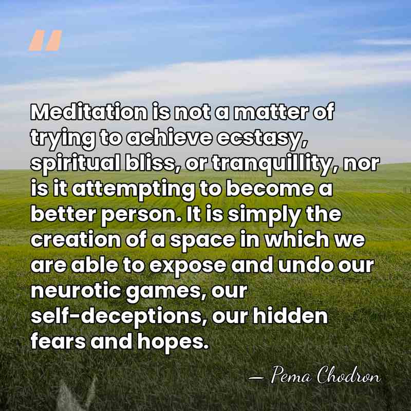 Meditation is not a matter of trying to achieve ecstasy, spiritual bliss,&hellip; - Pema Chodron