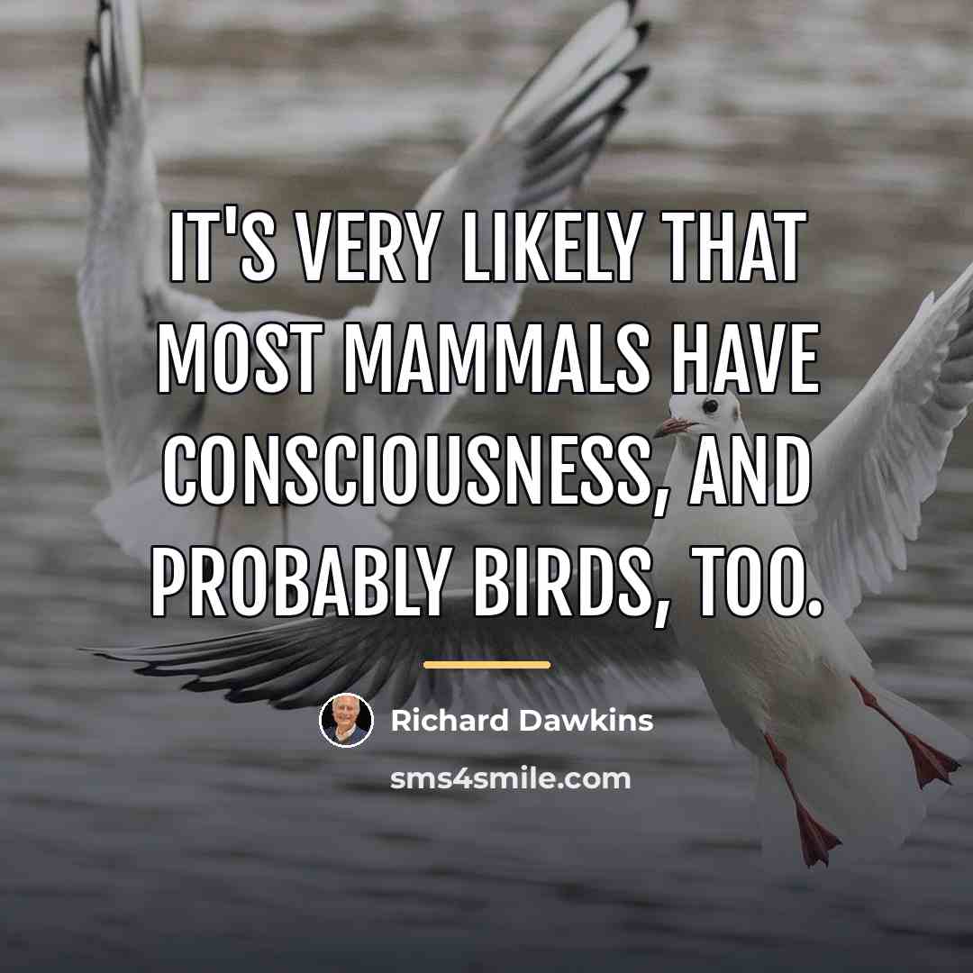 “It's very likely that most mammals have consciousness, and probably…” quote by Richard Dawkins