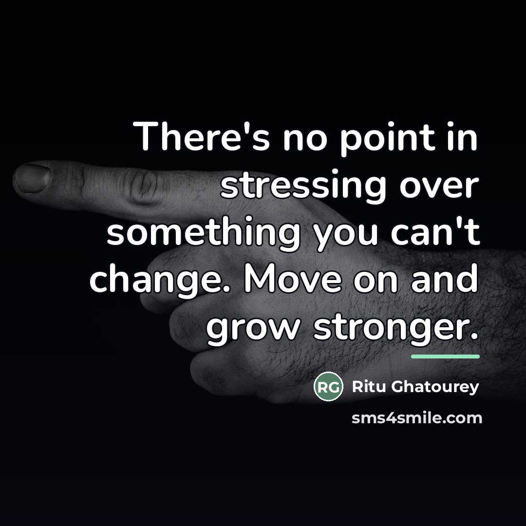 “There's no point in stressing over something you can't change.…” quote by Ritu Ghatourey