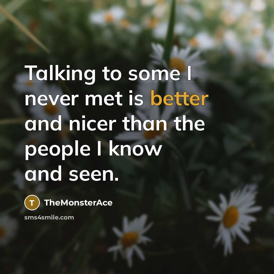 “Talking to some I never met is better and nicer than the people I know and seen.” quote by TheMonsterAce