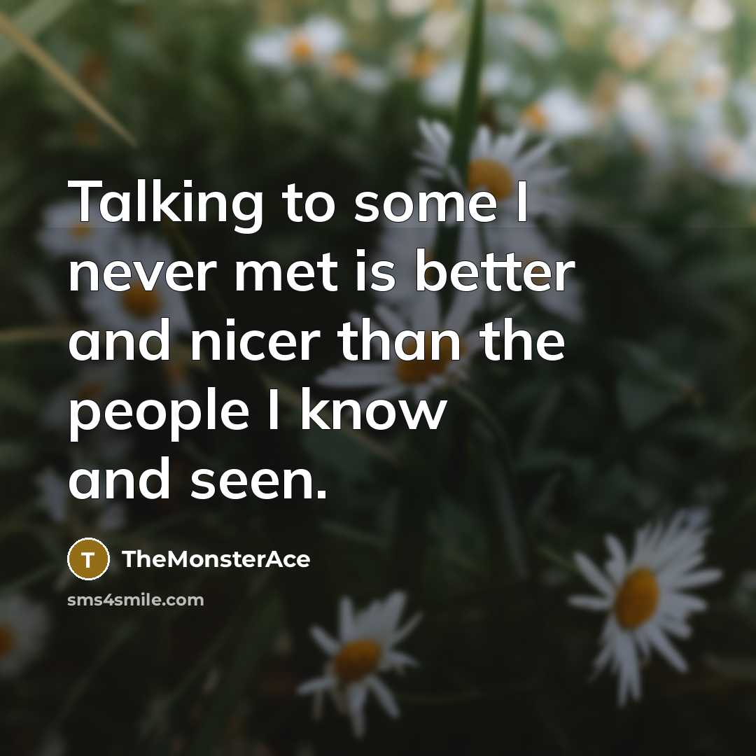 “Talking to some I never met is better and nicer…” quote by TheMonsterAce