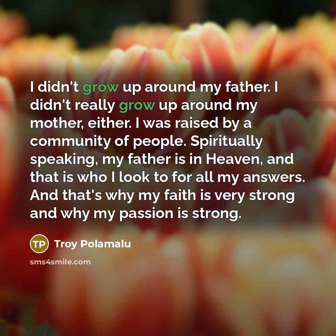 “I didn't grow up around my father. I didn't really…” quote by Troy Polamalu