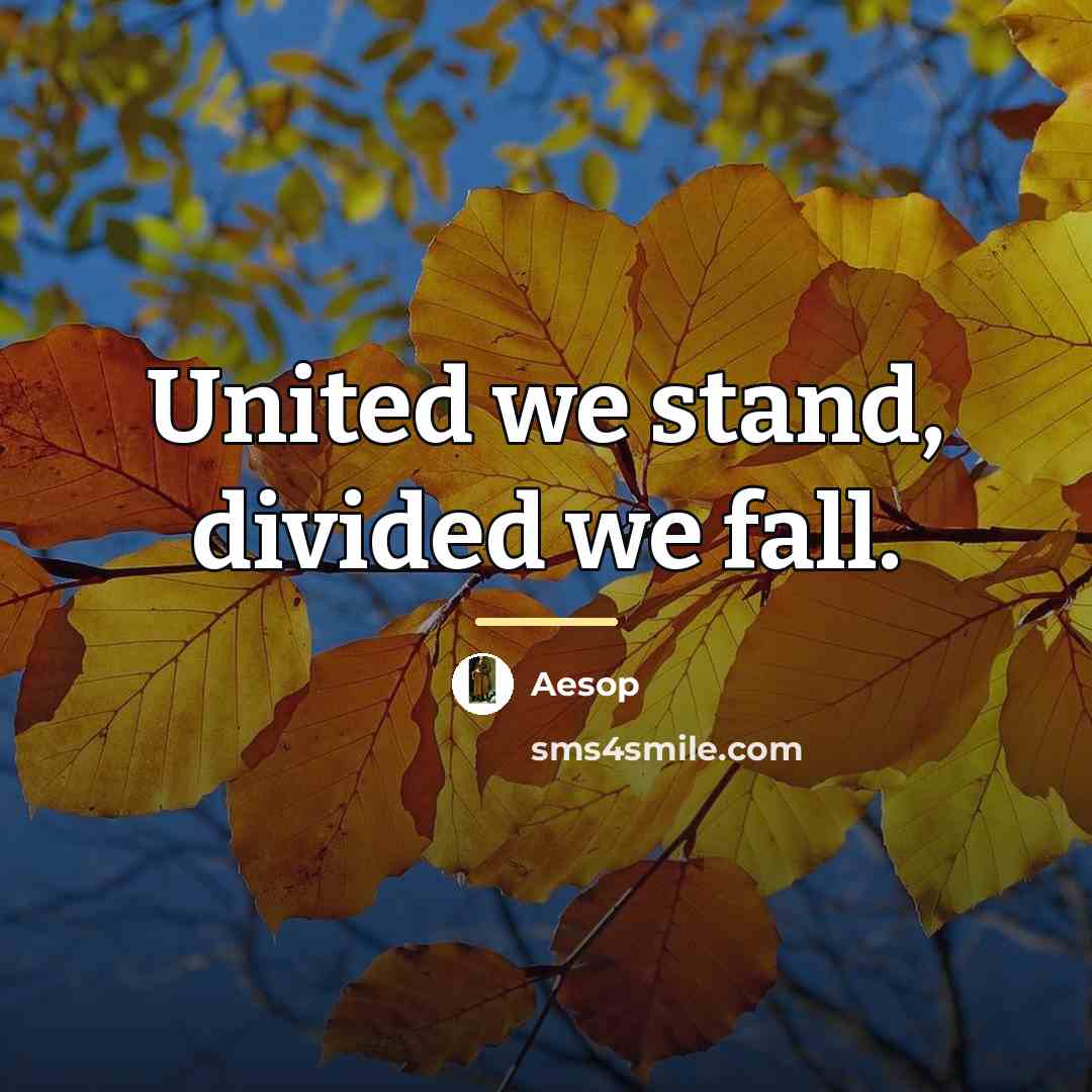 “United we stand, divided we fall.…” quote by Aesop
