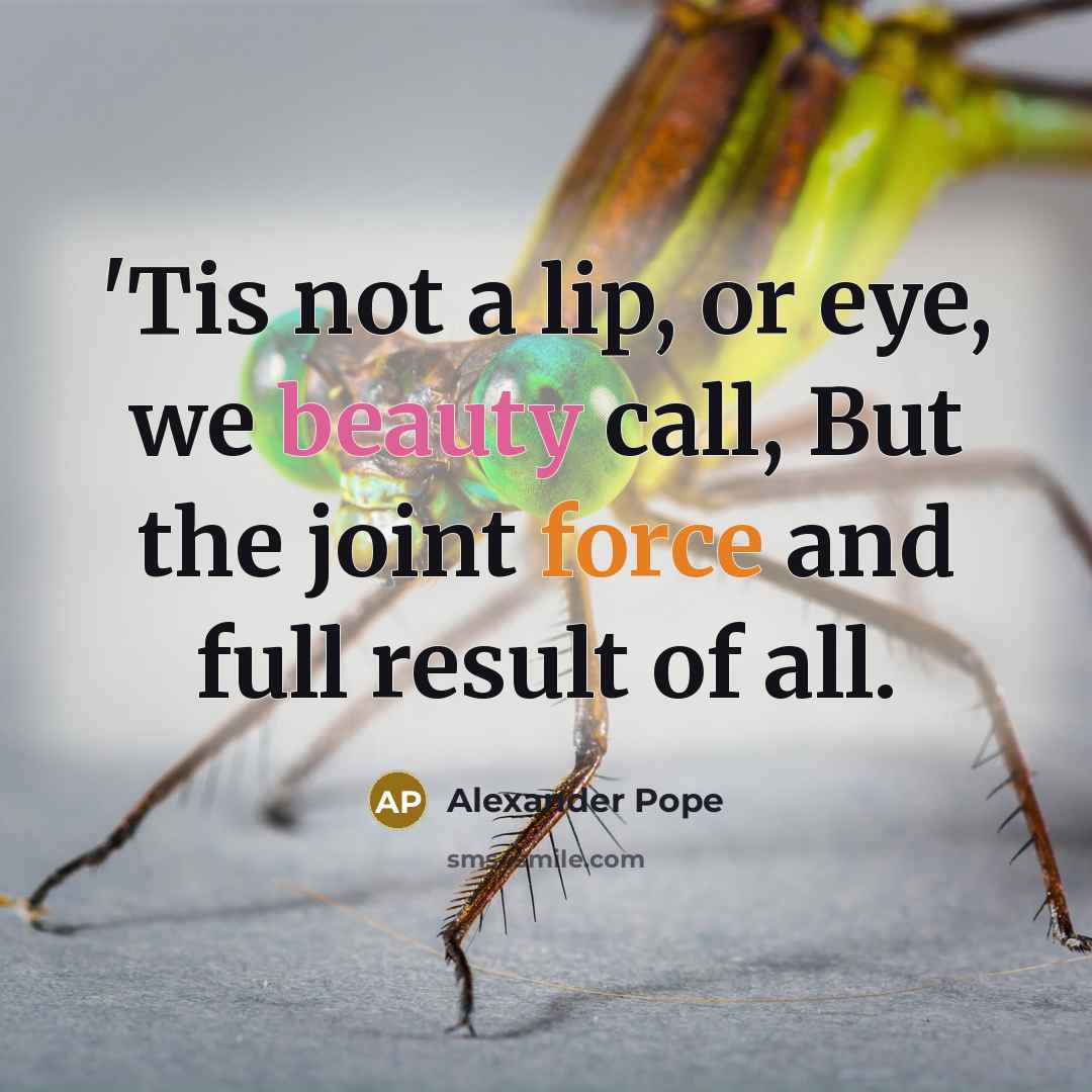 “'Tis not a lip, or eye, we beauty call, But…” quote by Alexander Pope