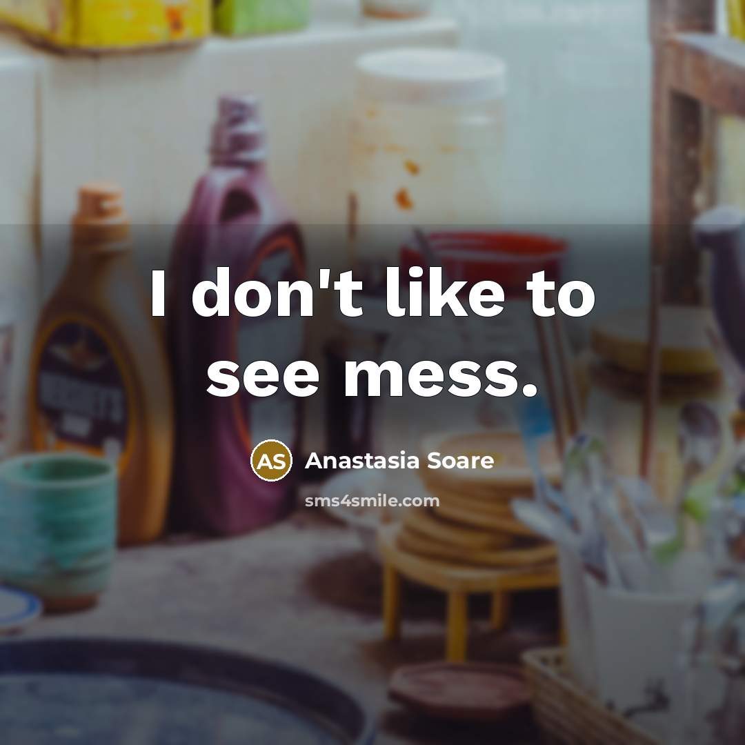 “I don't like to see mess.…” quote by Anastasia Soare