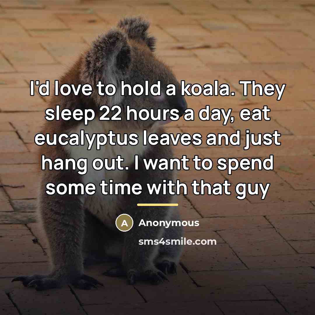 “I'd love to hold a koala. They sleep 22 hours…” quote by Anonymous