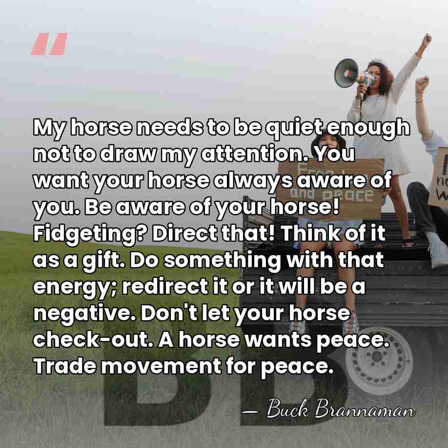 My horse needs to be quiet enough not to draw my attention.&hellip; - Buck Brannaman