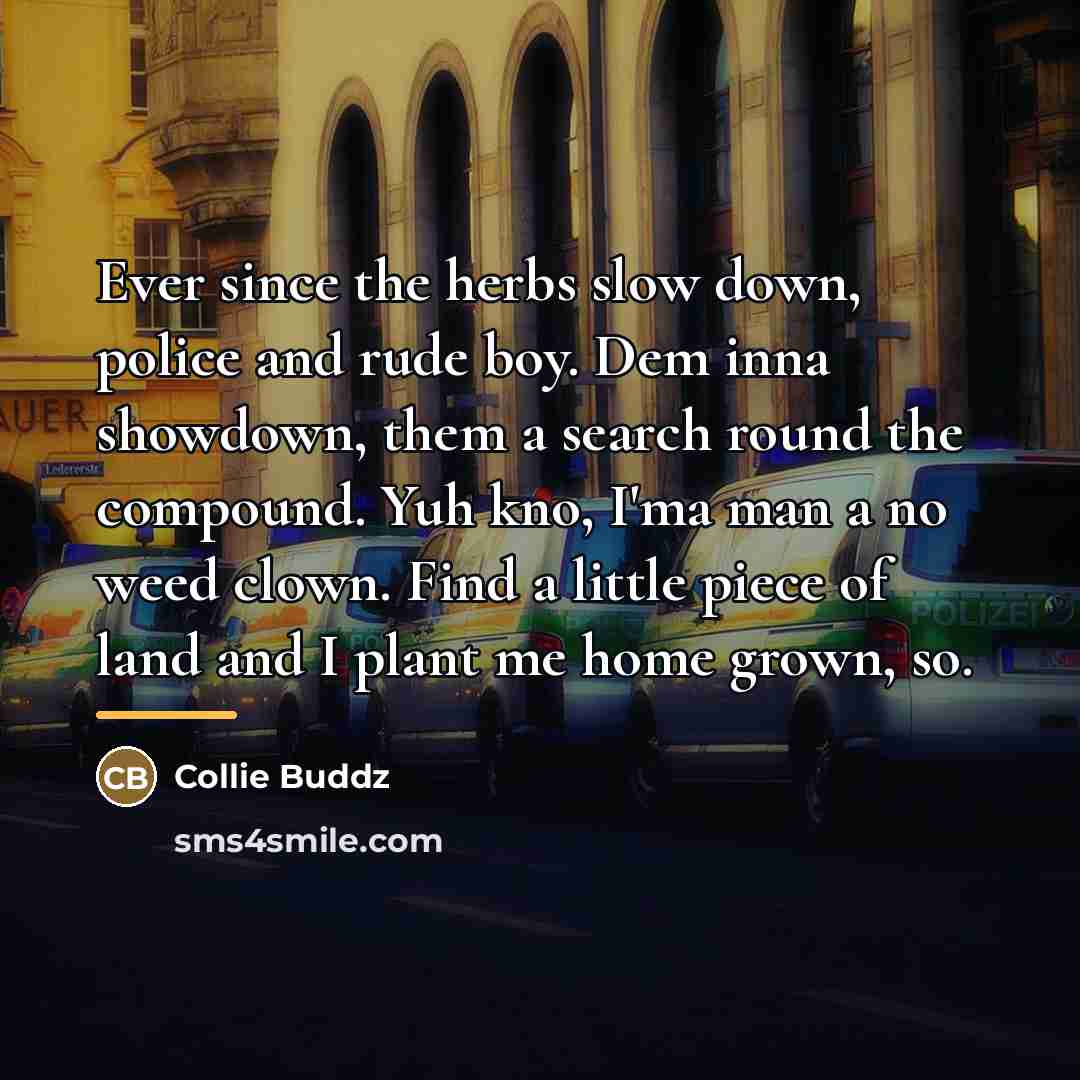 “Ever since the herbs slow down, police and rude boy.…” quote by Collie Buddz