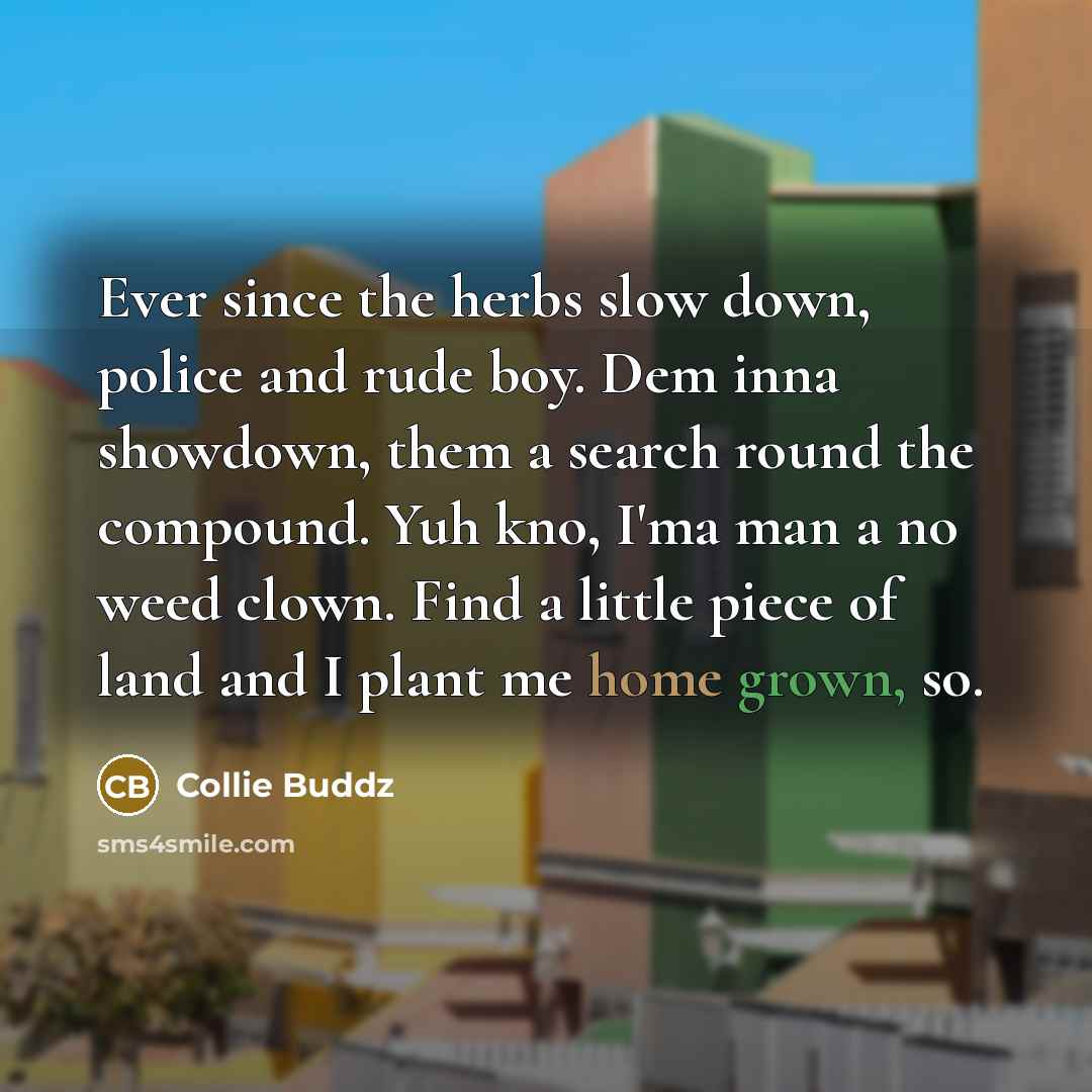 “Ever since the herbs slow down, police and rude boy. Dem inna showdown, them a search round the compound. Yuh kno, I'ma man a no weed clown. Find a little piece of land and I plant me home grown, so.” quote by Collie Buddz