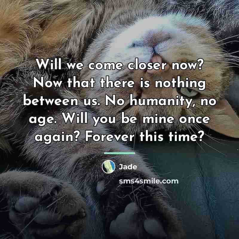 “Will we come closer now? Now that there is nothing…” quote by Jade