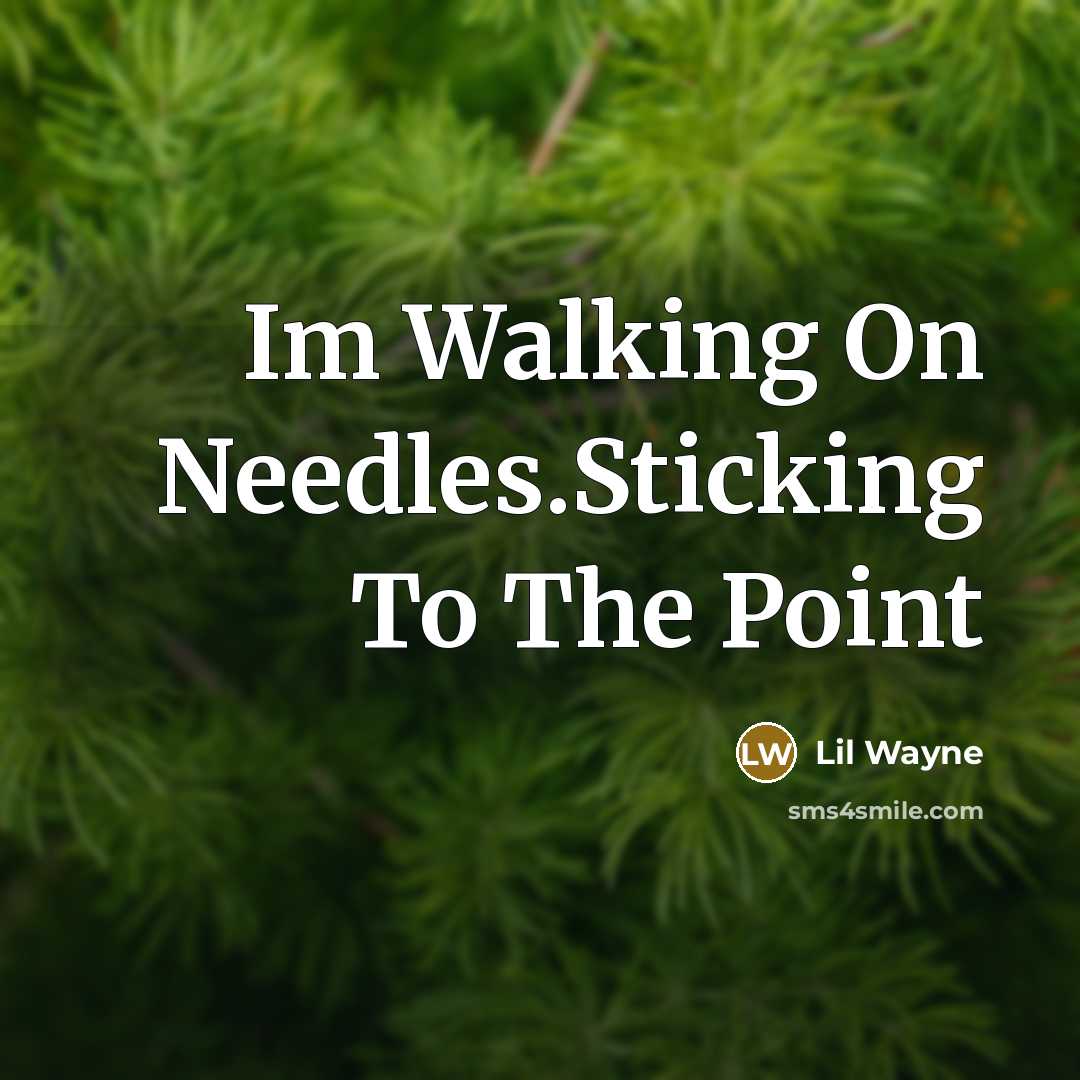 “Im Walking On Needles.Sticking To The Point” quote by Lil Wayne