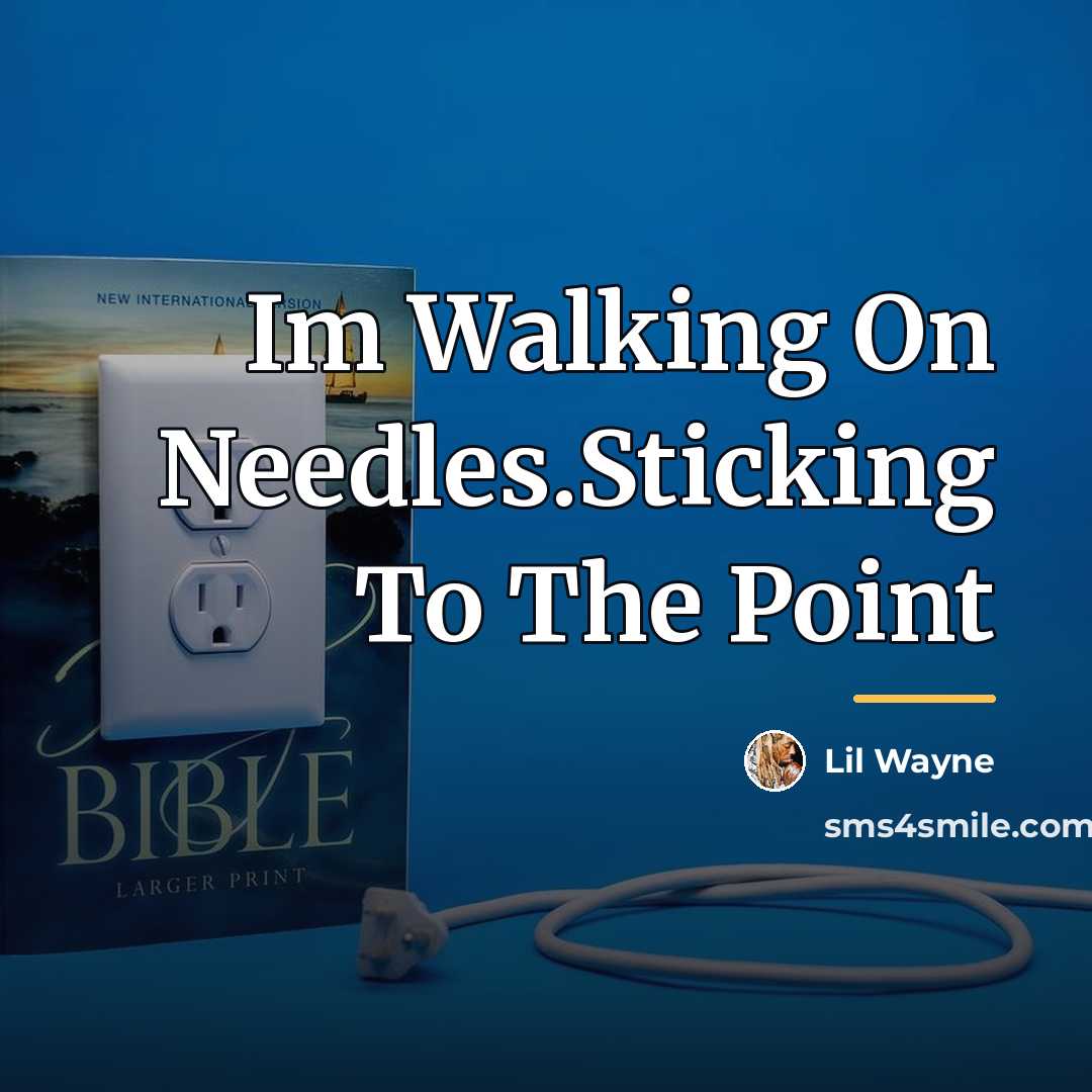 “Im Walking On Needles.Sticking To The Point…” quote by Lil Wayne