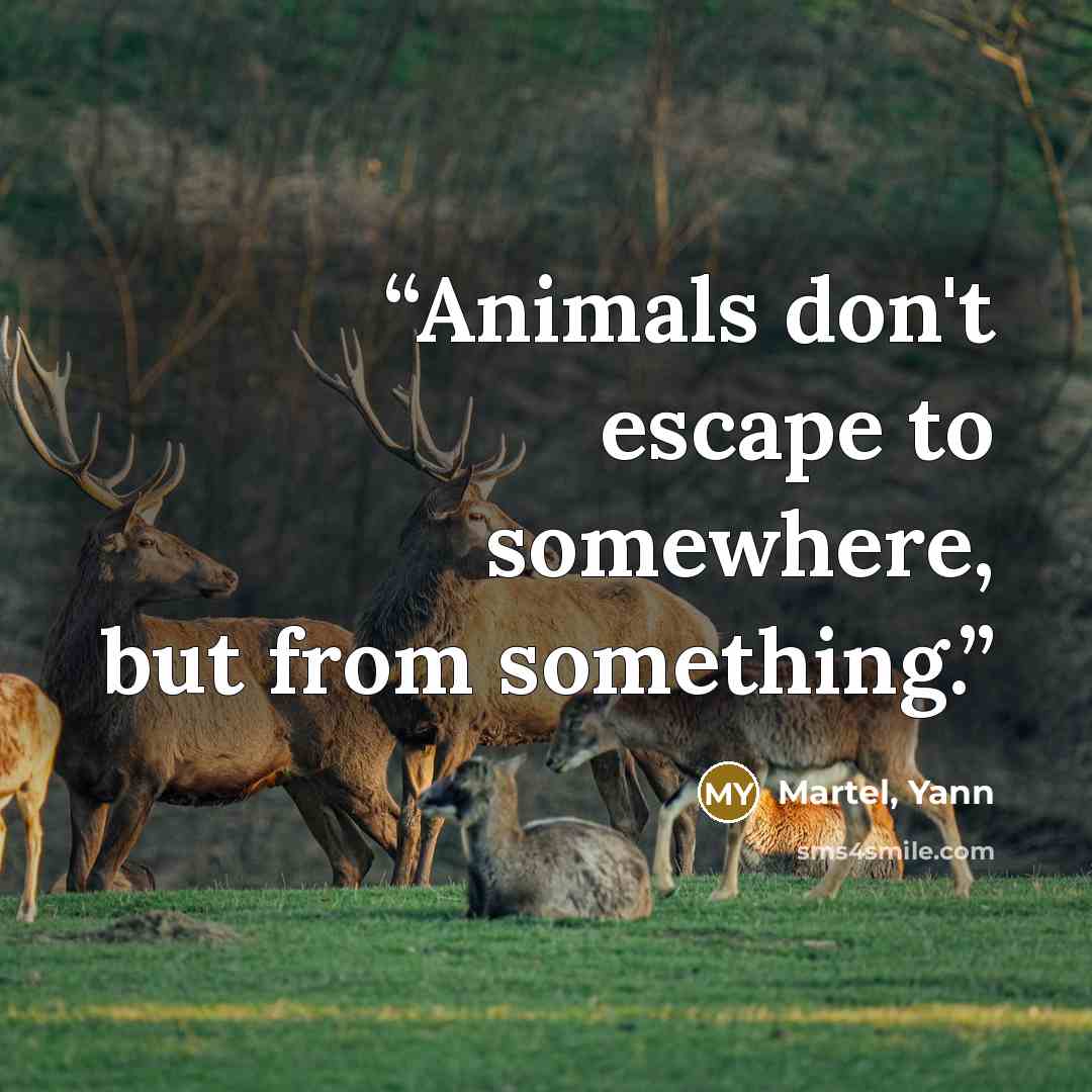 “Animals don't escape to somewhere, but from something.” quote by Martel, Yann