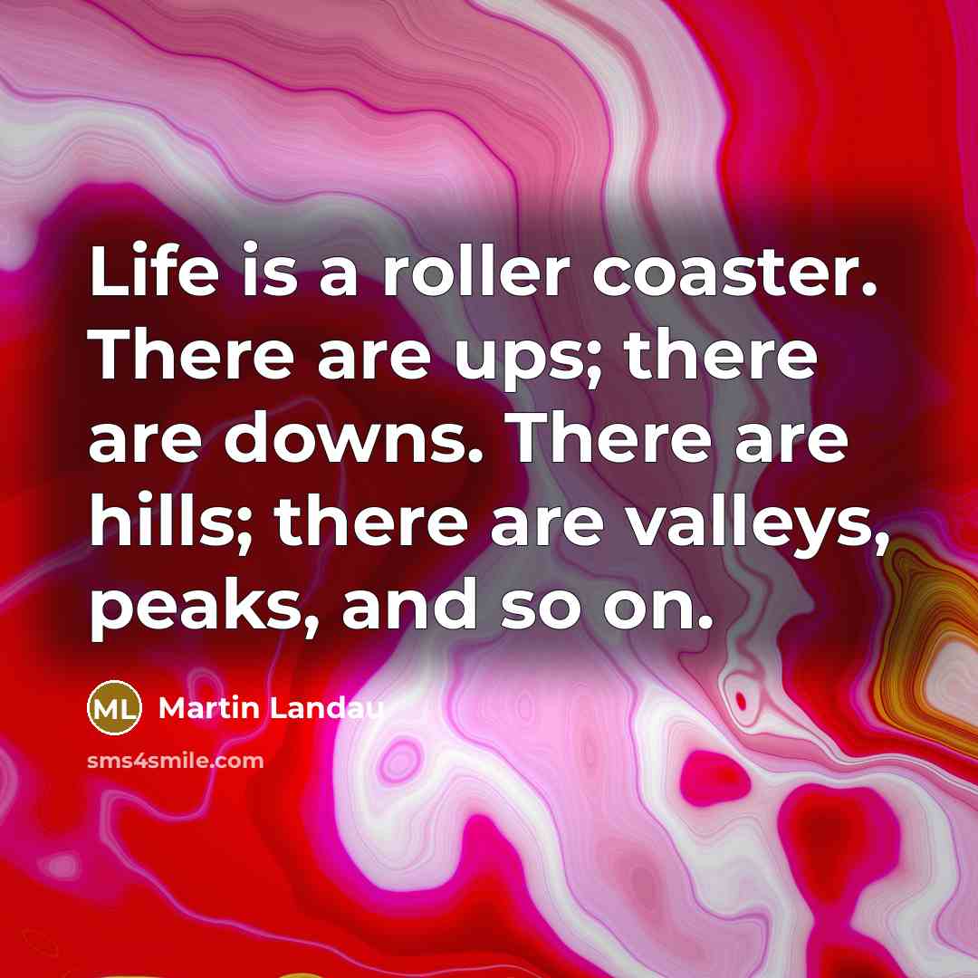 “Life is a roller coaster. There are ups; there are downs. There are hills; there are valleys, peaks, and so on.” quote by Martin Landau