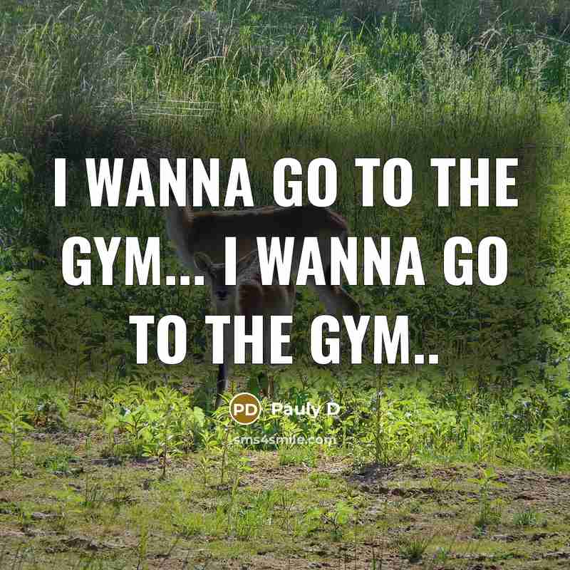 “I wanna go to the gym... I wanna go to…” quote by Pauly D