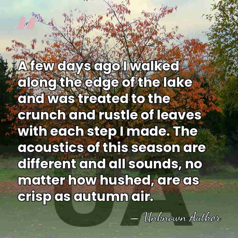 A few days ago I walked along the edge of the lake&hellip; - Unknown Author