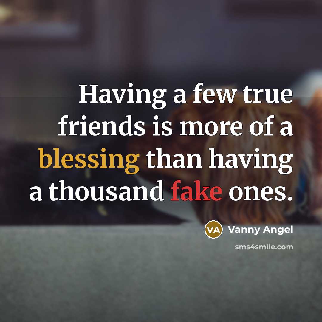 “Having a few true friends is more of a blessing…” quote by Vanny Angel