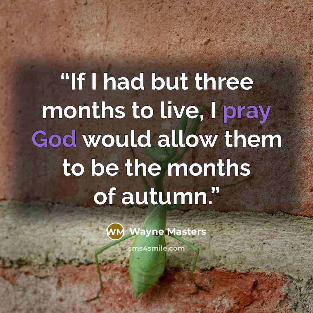 “If I had but three months to live, I pray God would allow them to be the months of autumn.” quote by Wayne Masters