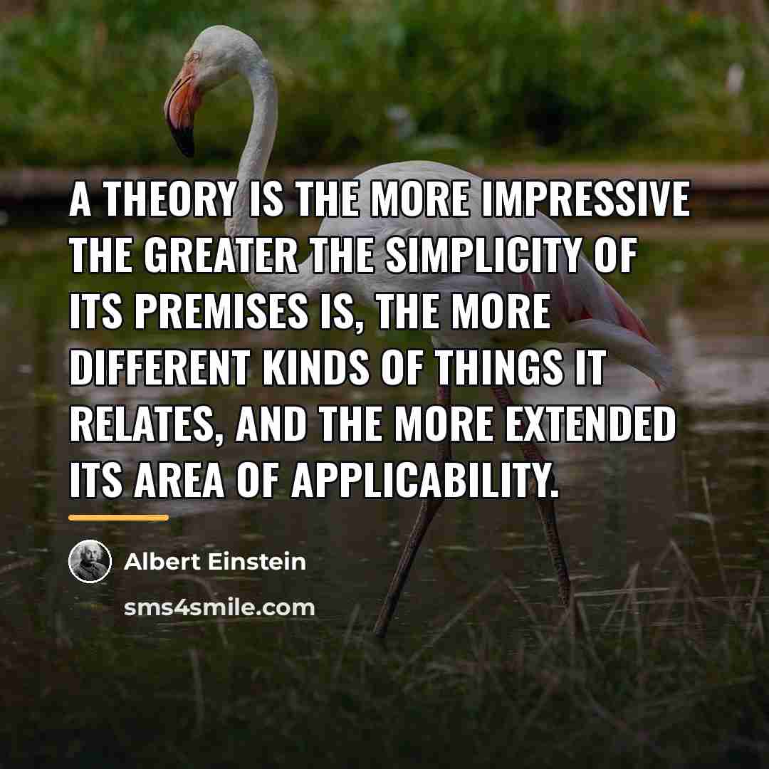 “A theory is the more impressive the greater the simplicity…” quote by Albert Einstein