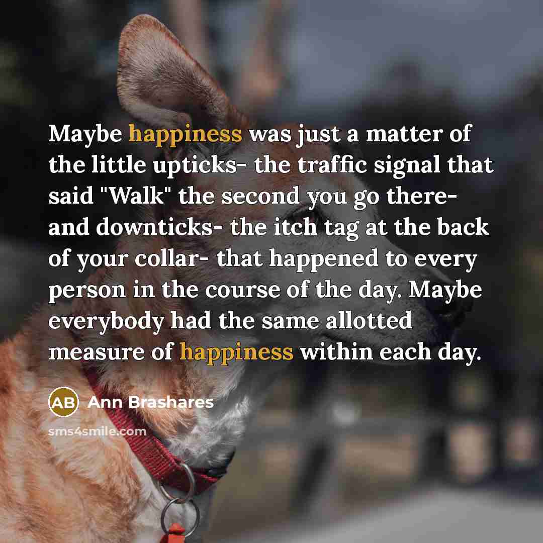 “Maybe happiness was just a matter of the little upticks-…” quote by Ann Brashares