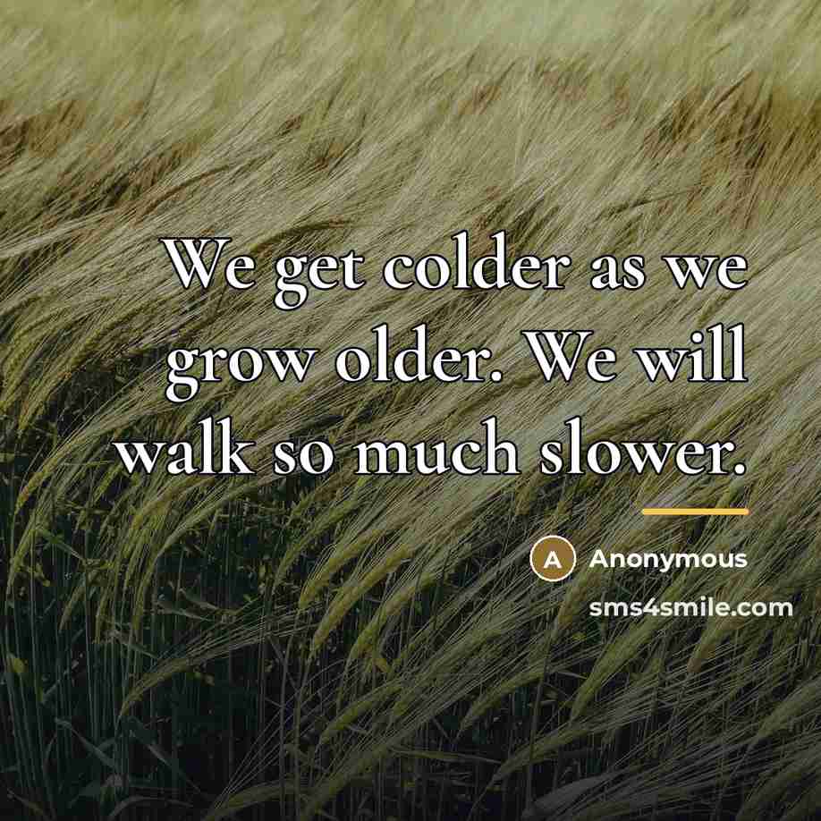 “We get colder as we grow older. We will walk…” quote by Anonymous