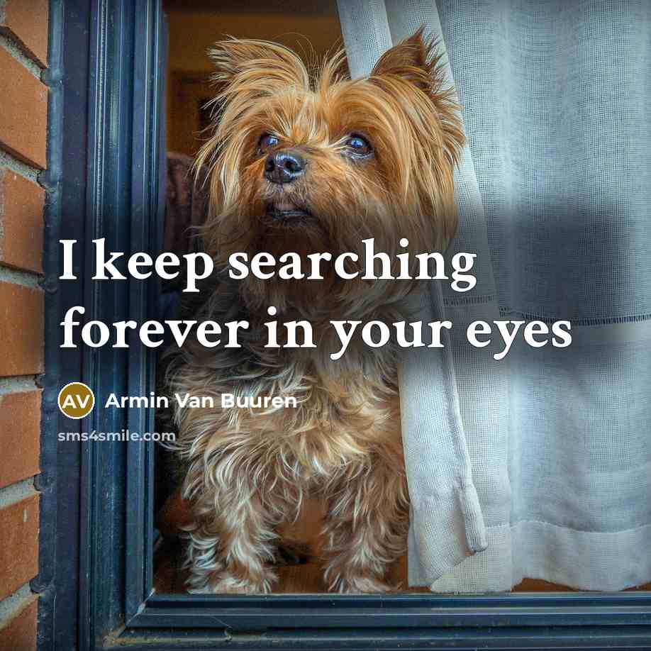 “I keep searching forever in your eyes” quote by Armin Van Buuren